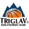 https://img.bircats.com/img/basketball/team/6023682252ea4516a63409bf3d6299d4.png