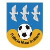 https://img.bircats.com/img/football/team/259a1106a33b56d2bb3c458a62ffa2ea.png