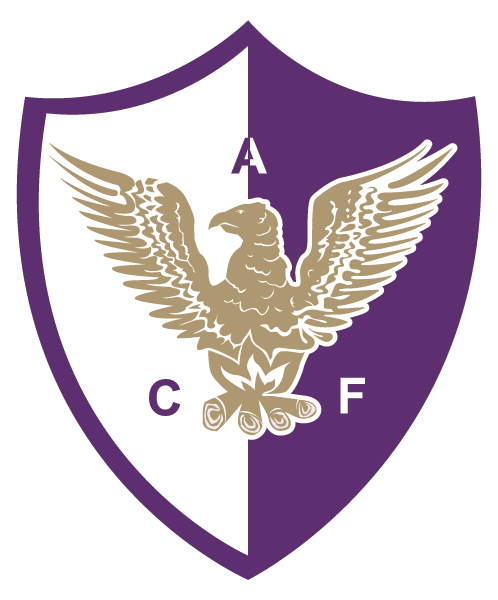 https://img.bircats.com/img/football/team/5de299147387035d37987456c5a2a13c.png