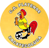 https://img.bircats.com/img/football/team/63b0933cc303927659846a4ed54b1522.png