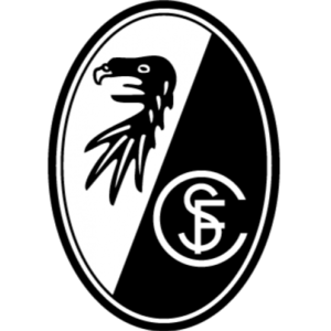 https://img.bircats.com/img/football/team/6508946c9a5fe22a8784b905b25e8c79.png