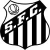 https://img.bircats.com/img/football/team/674171a5ca8e8fd3a9784bec35afb185.png