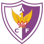 https://img.bircats.com/img/football/team/872418ae459442f80fdd279e7baf4263.png