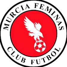 https://img.bircats.com/img/football/team/8922c414a65c58e46414b2601824c32d.png