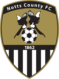 https://img.bircats.com/img/football/team/9e230c89a846b9cadf91884918fa7611.png