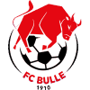 https://img.bircats.com/img/football/team/b201265fa89720bf8cd8ef95549a4738.png