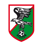 https://img.bircats.com/img/football/team/e6a8908dd206e2ea02d9803c82c60bba.png